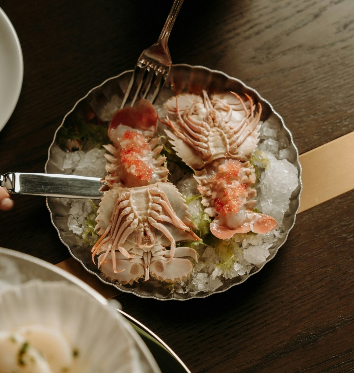 Honey Bugs Jake Nicholson