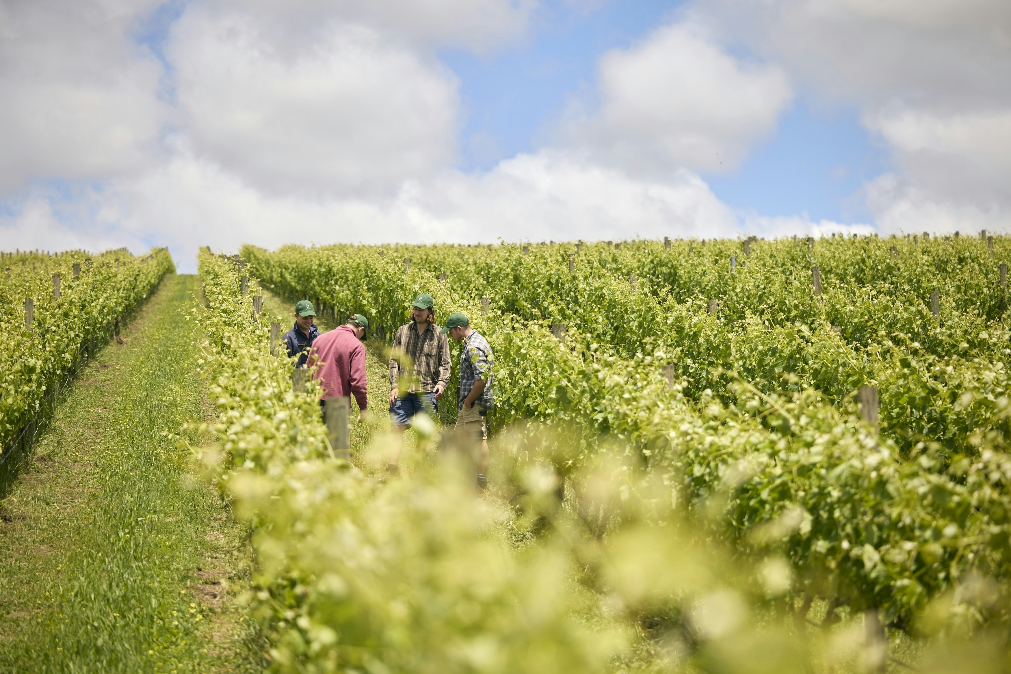 Shaw Smith NOV25 0059