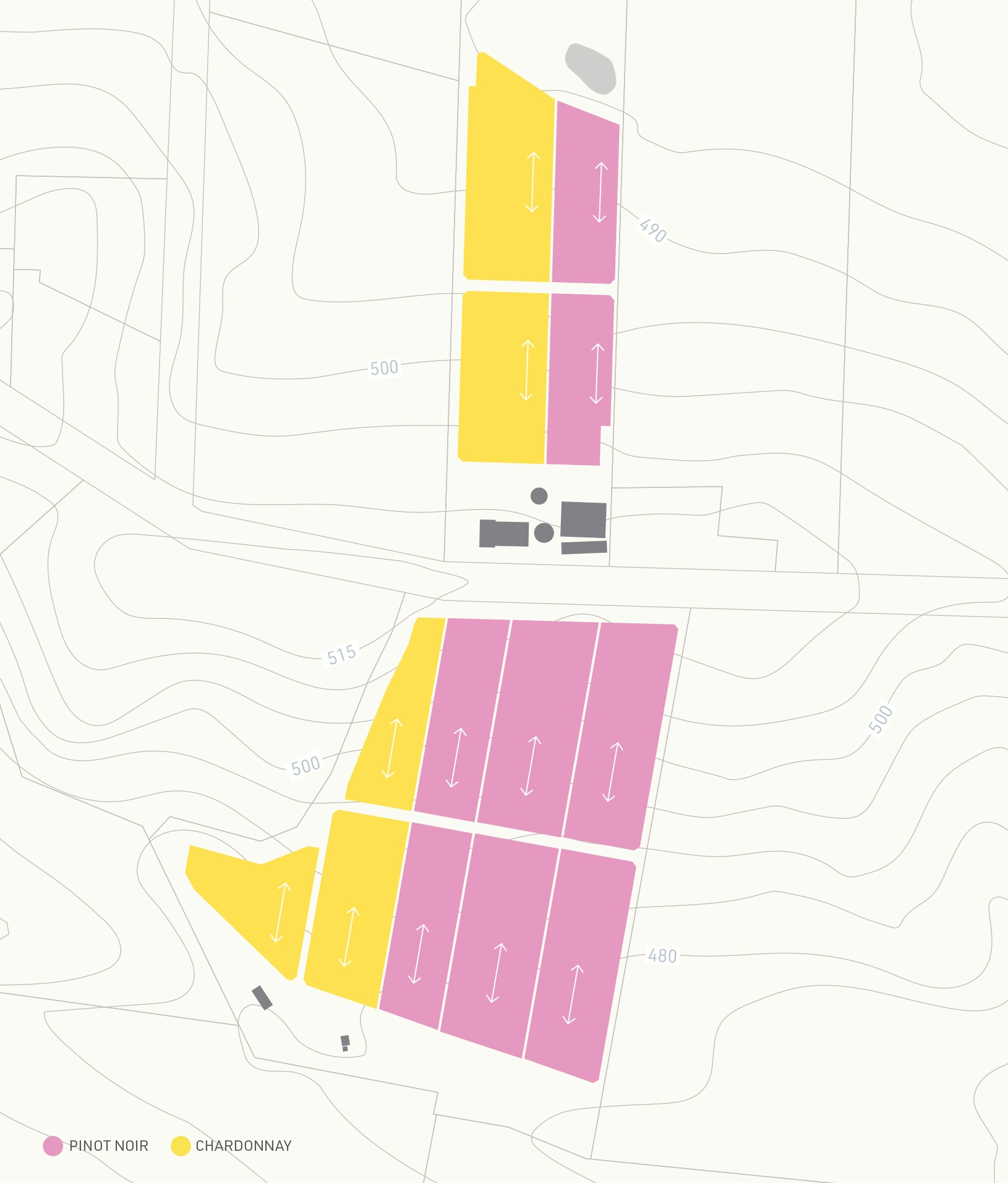 SS Piccadily Vineyard map web