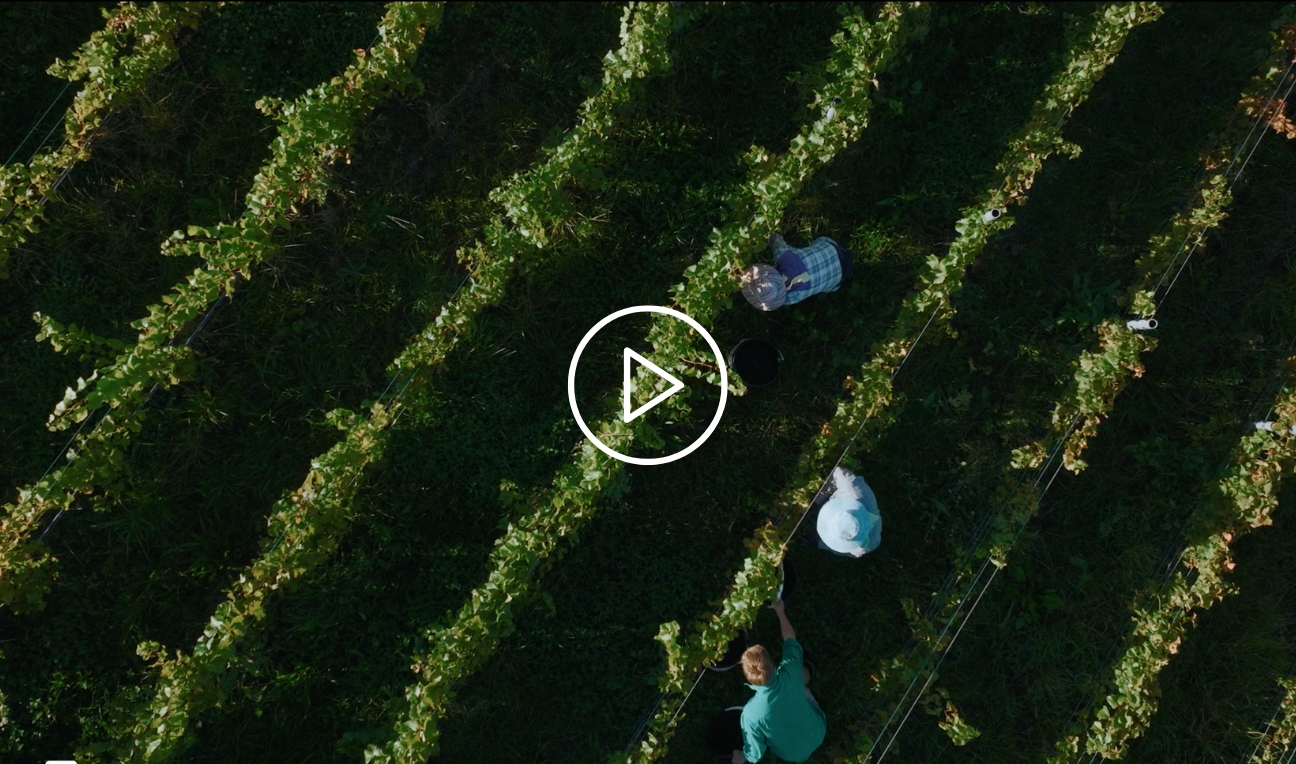 SS Klaviyo 1296 x 764