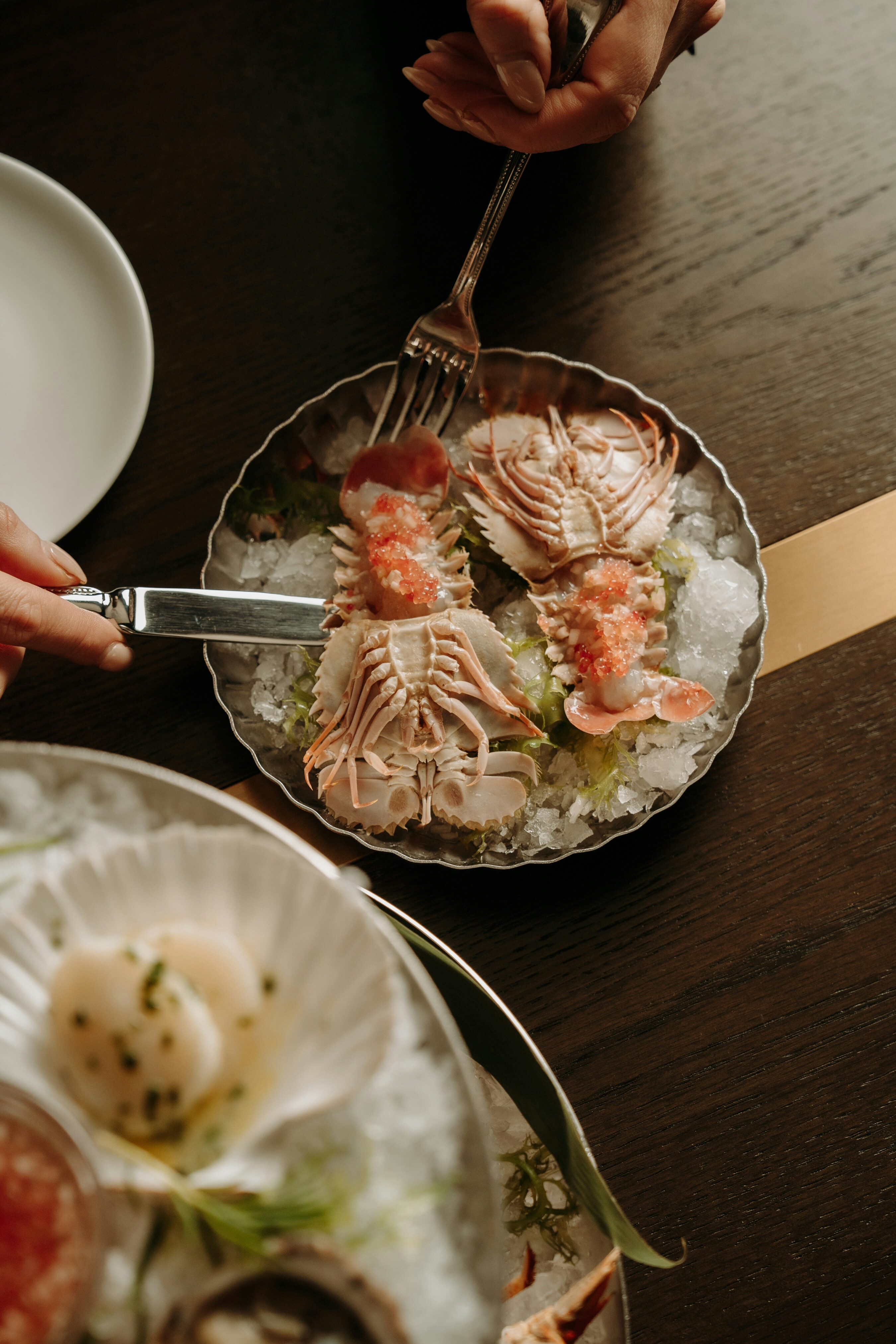 TLOY BLACKBIRD ARIANNALEGGIERO 34